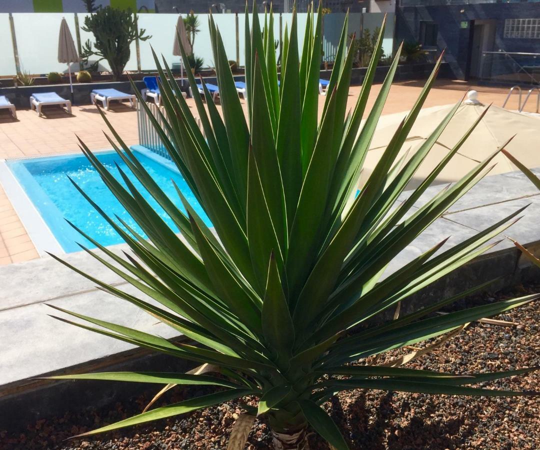 Blue Dream Playa Apartment Corralejo Ngoại thất bức ảnh